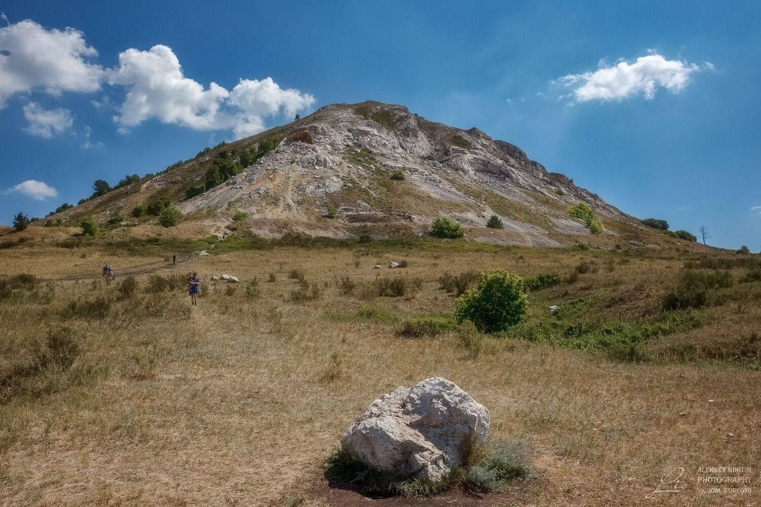 , Алексей Никитин