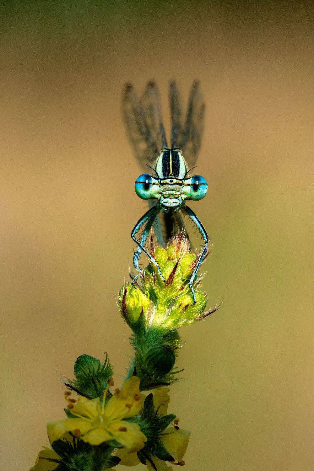 , Татьяна Гореславец