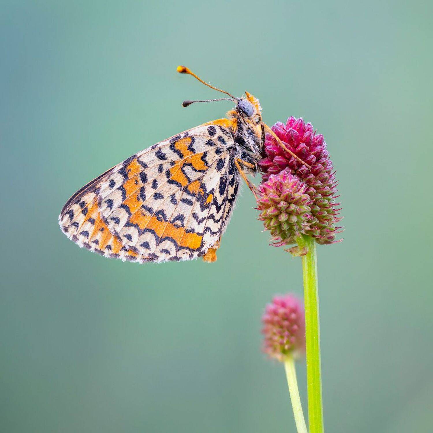 , Сергей Брагин