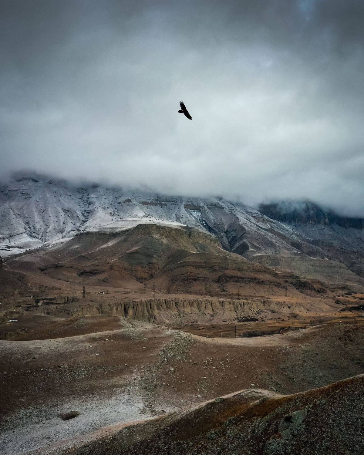 , Антон Мелёшкин