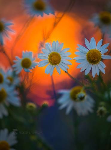 Летняя живопись