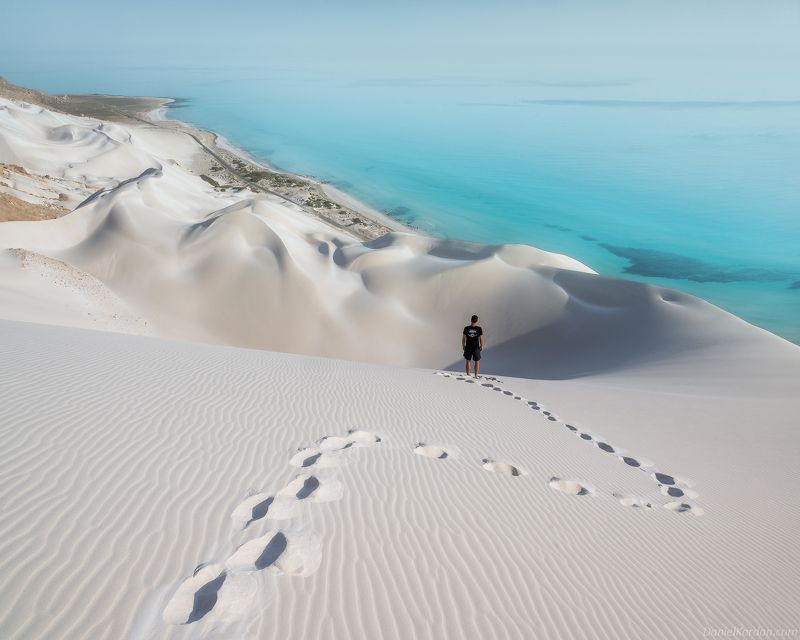 Socotra фото превью
