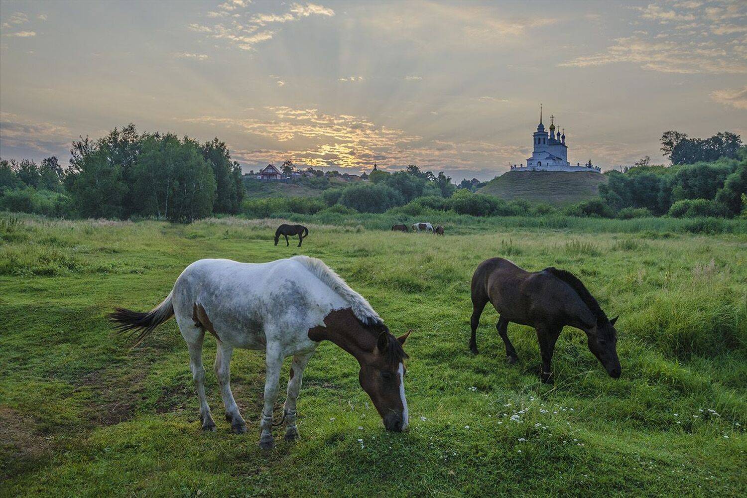 утро, лето, июль, епифань, Михаил Агеев