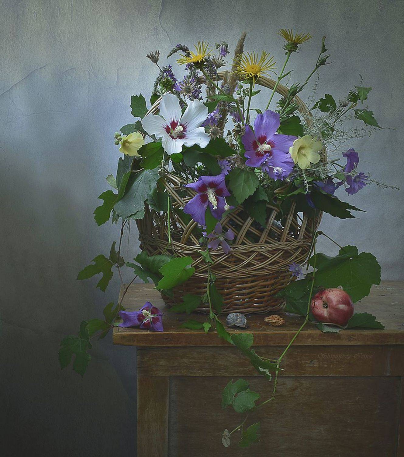 , Шипунова Ирина