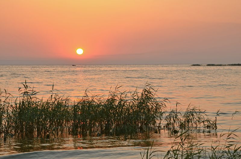 лето, июль, утро, рассвет, восход, река Жаркое утро фото превью