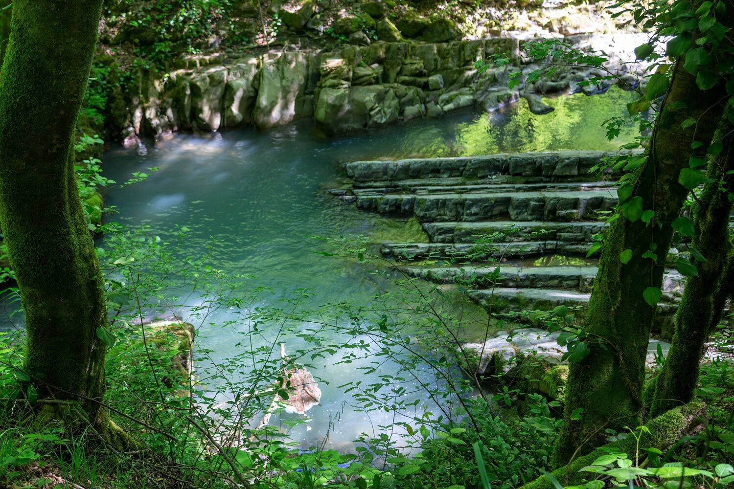 , Алексей Рыльский