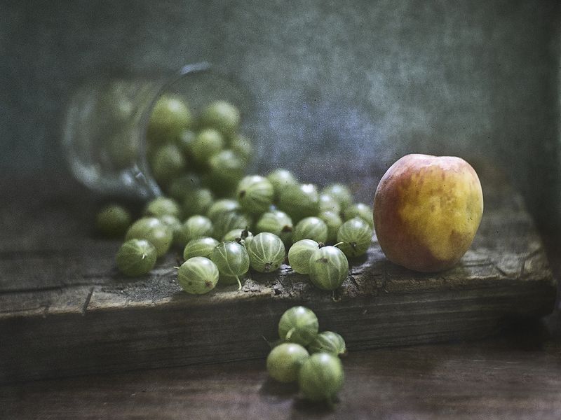 Летние плоды поспели фото превью