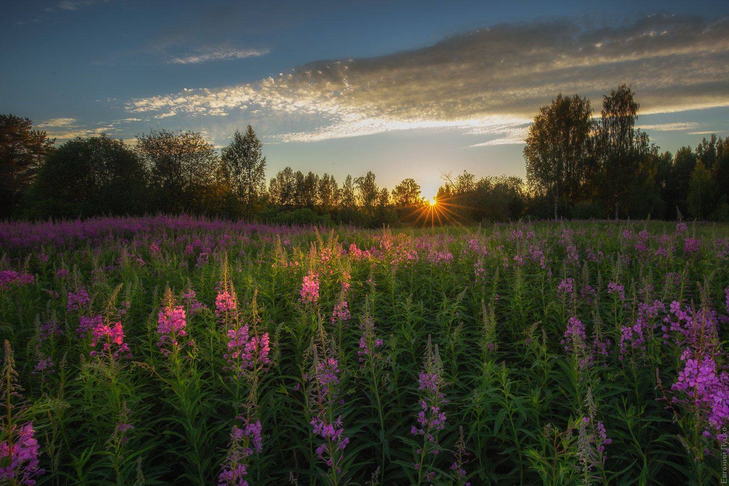 , Евгений Луцко