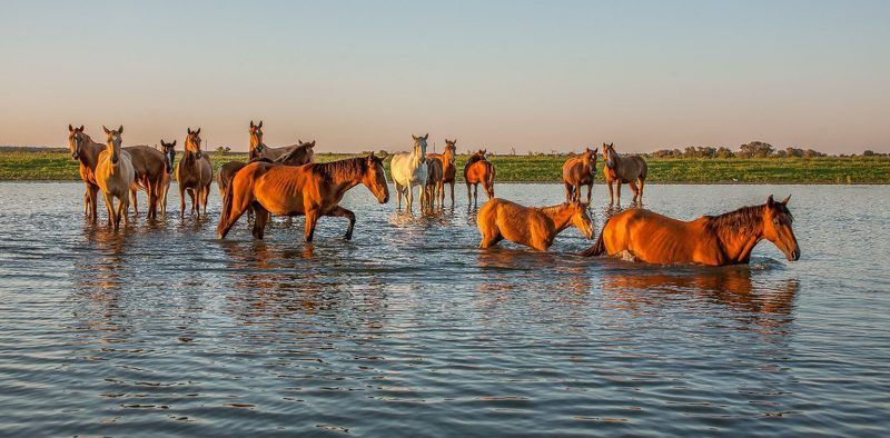 с.КАМЫШОВО ПЕРЕПРАВА   фото превью