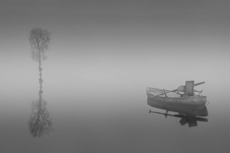 On the lake фото превью