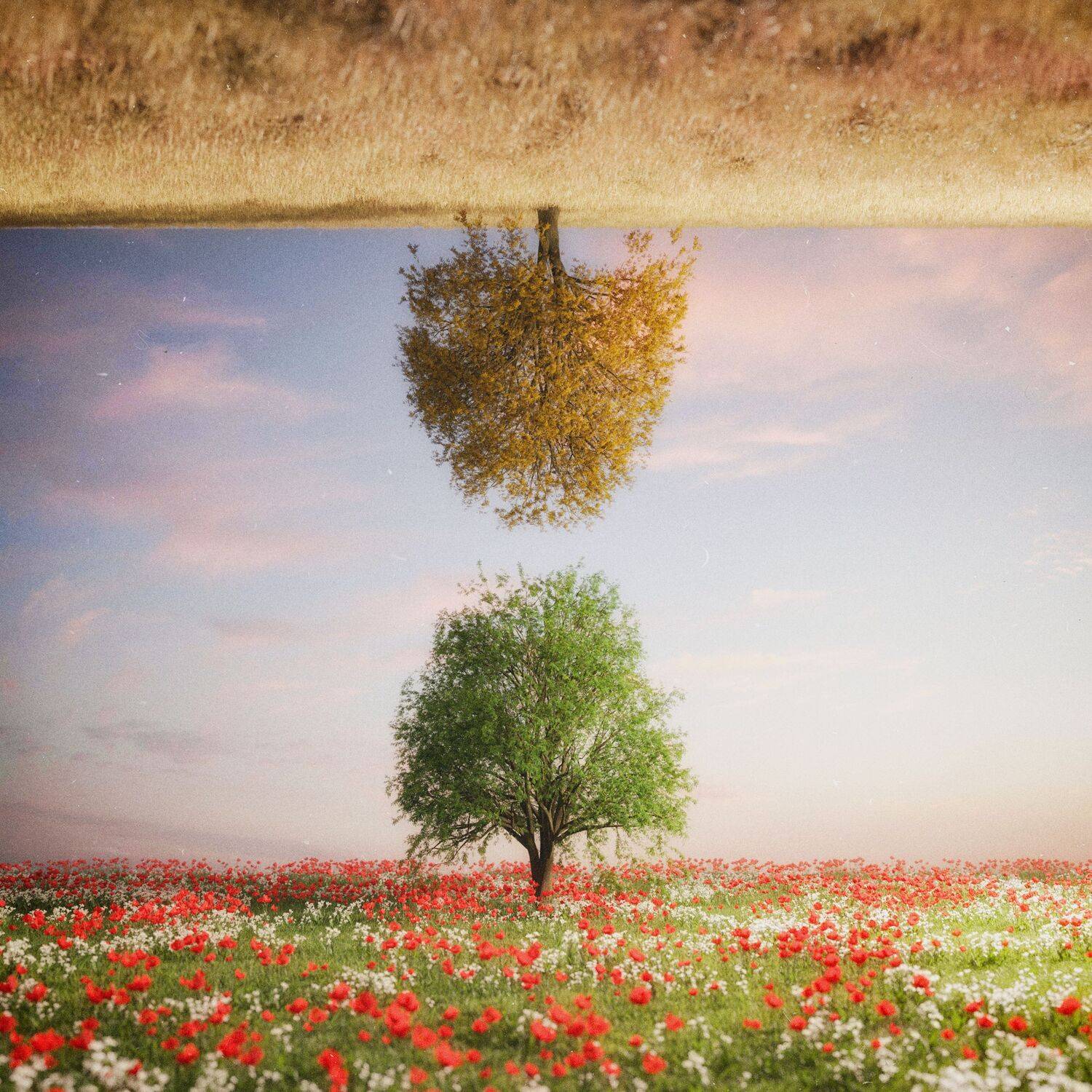 , Hossein Zare