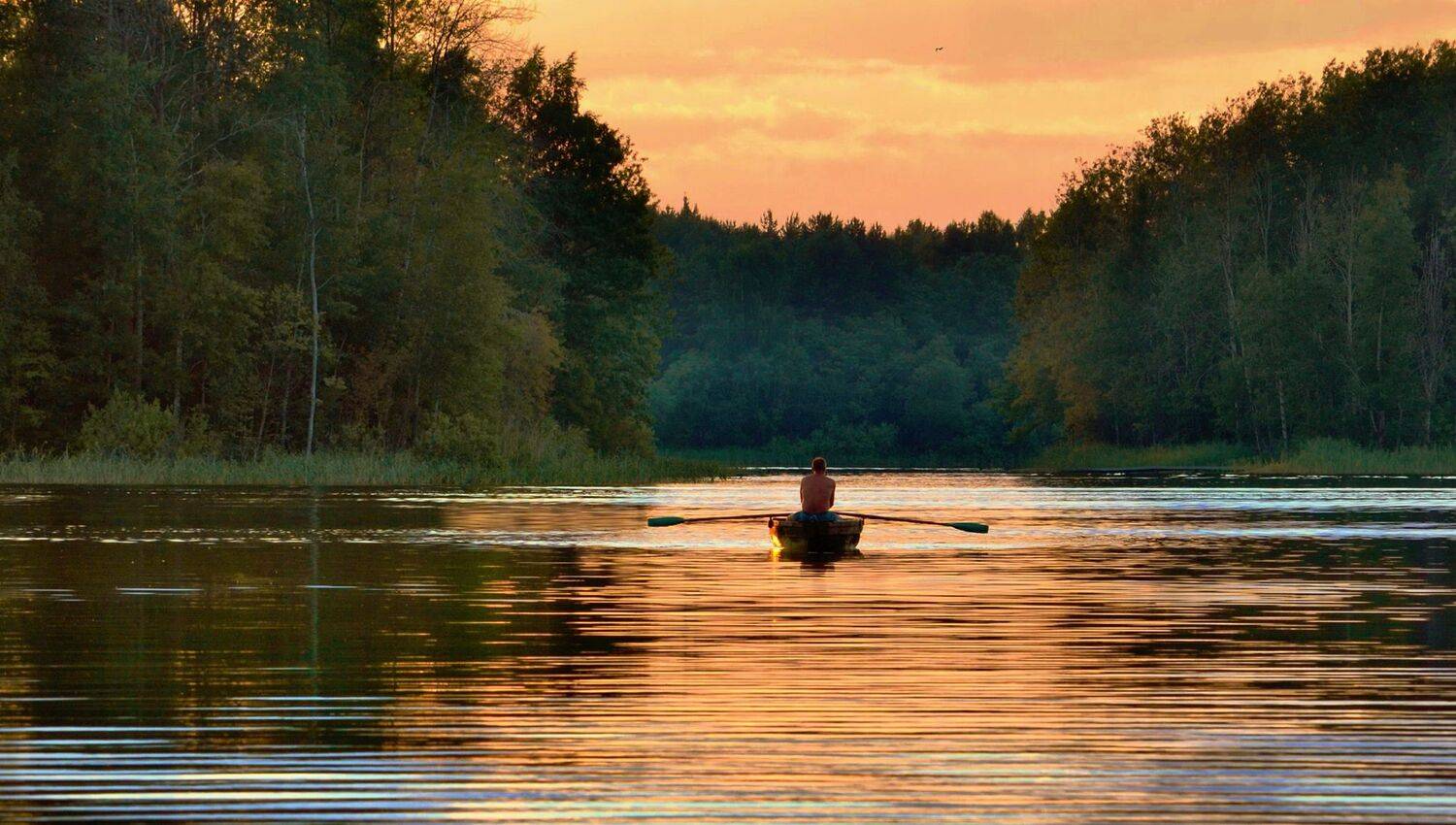 , Михаил Новиков