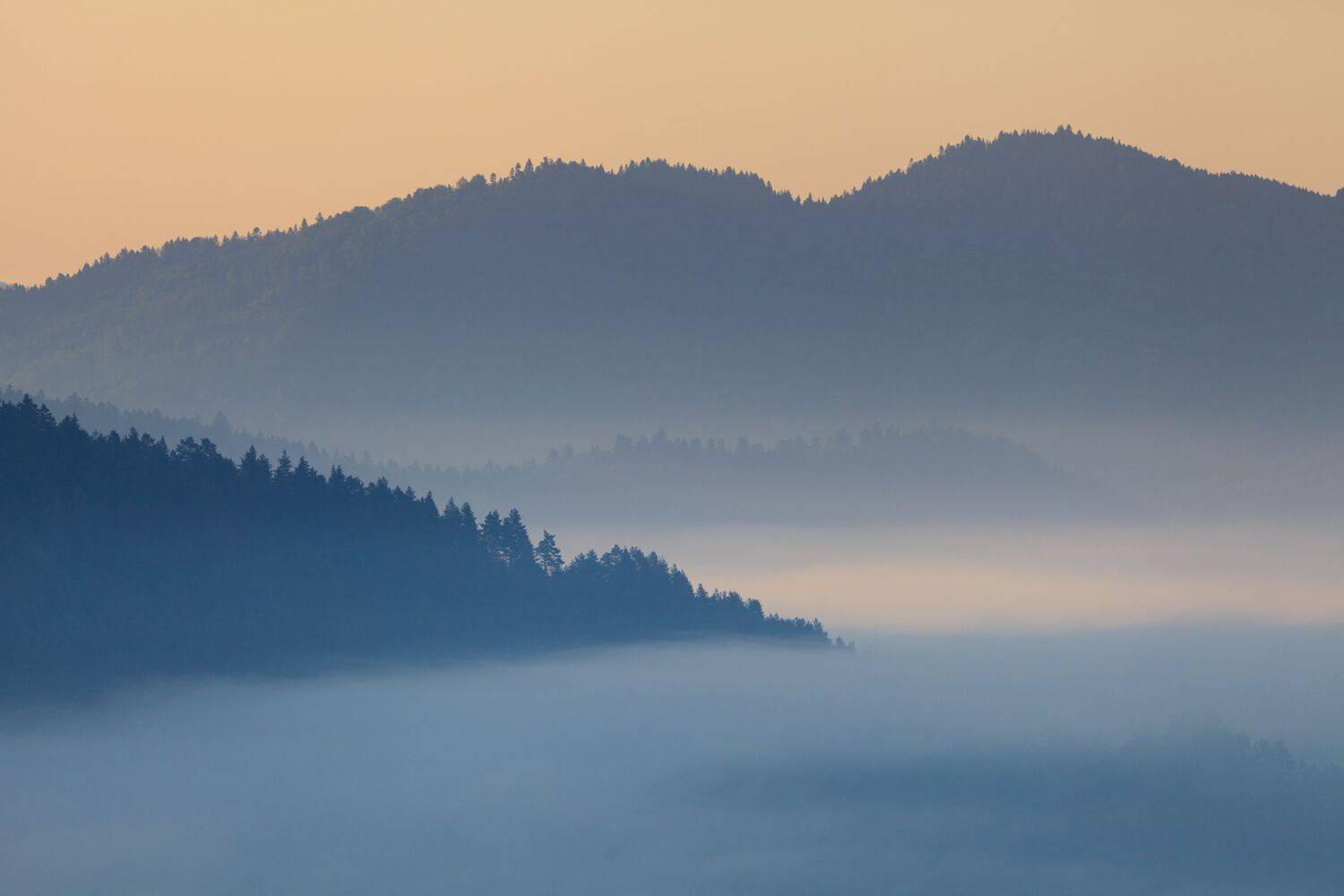 pieniny, morning, summer, fog, foggy, mountains,  Mirosław Pruchnicki