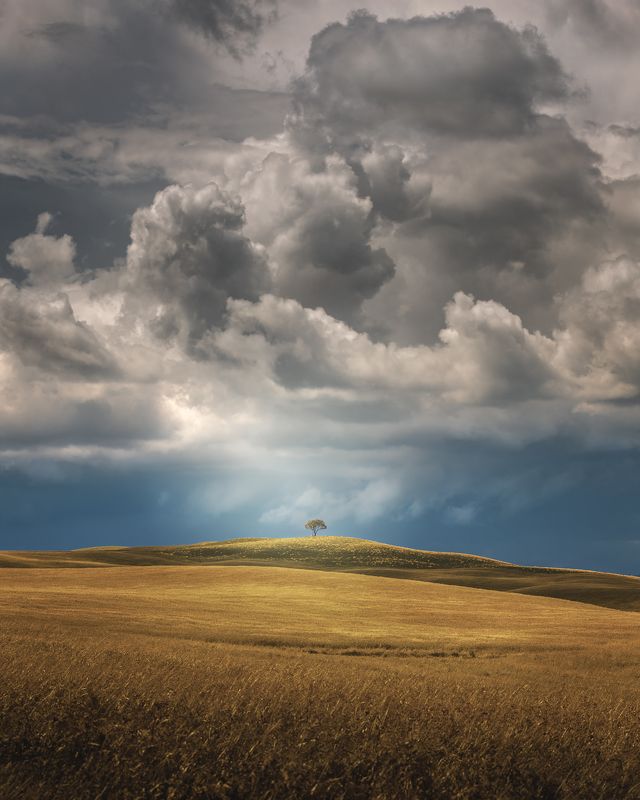 A Place in the Sun фото превью