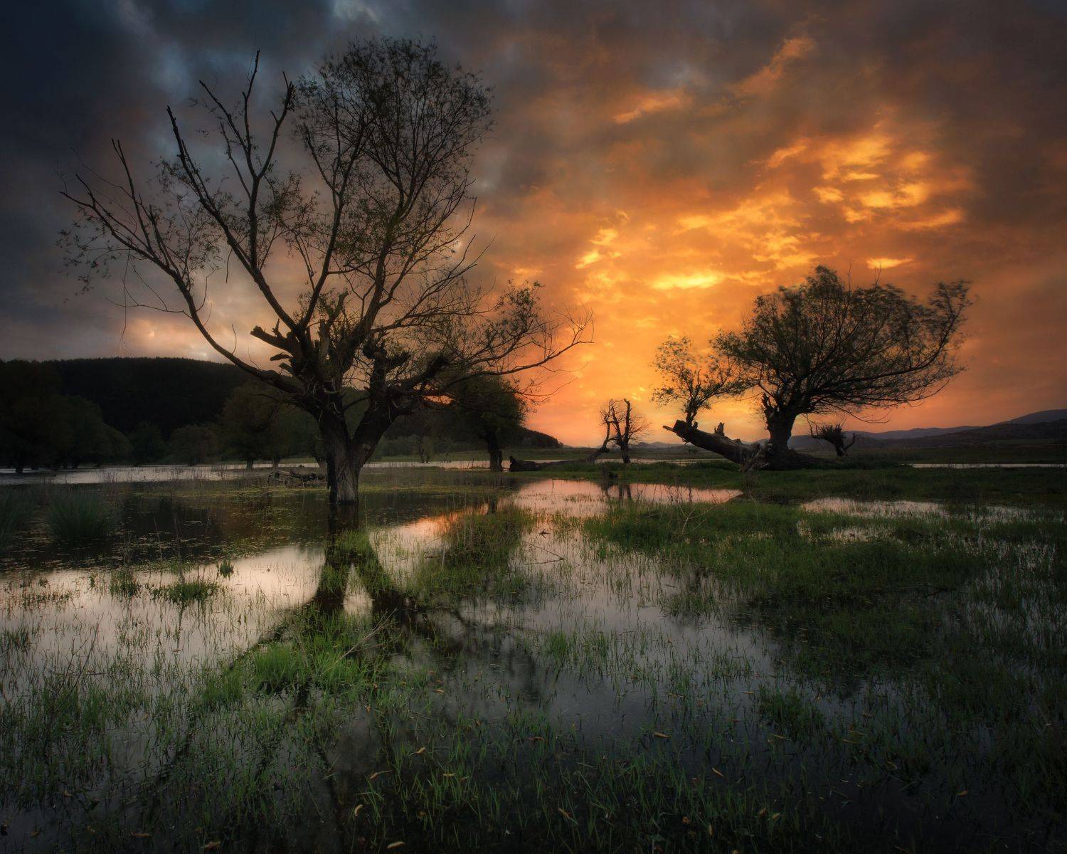 , Radoslav Sviretsov