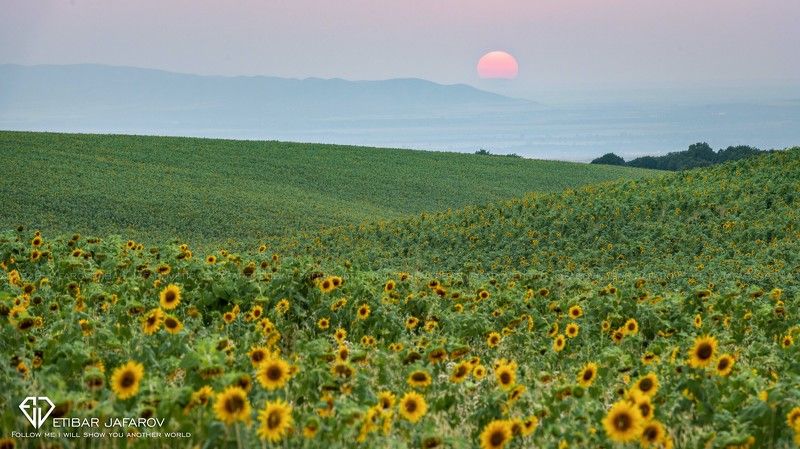AZERBAIJAN  фото превью