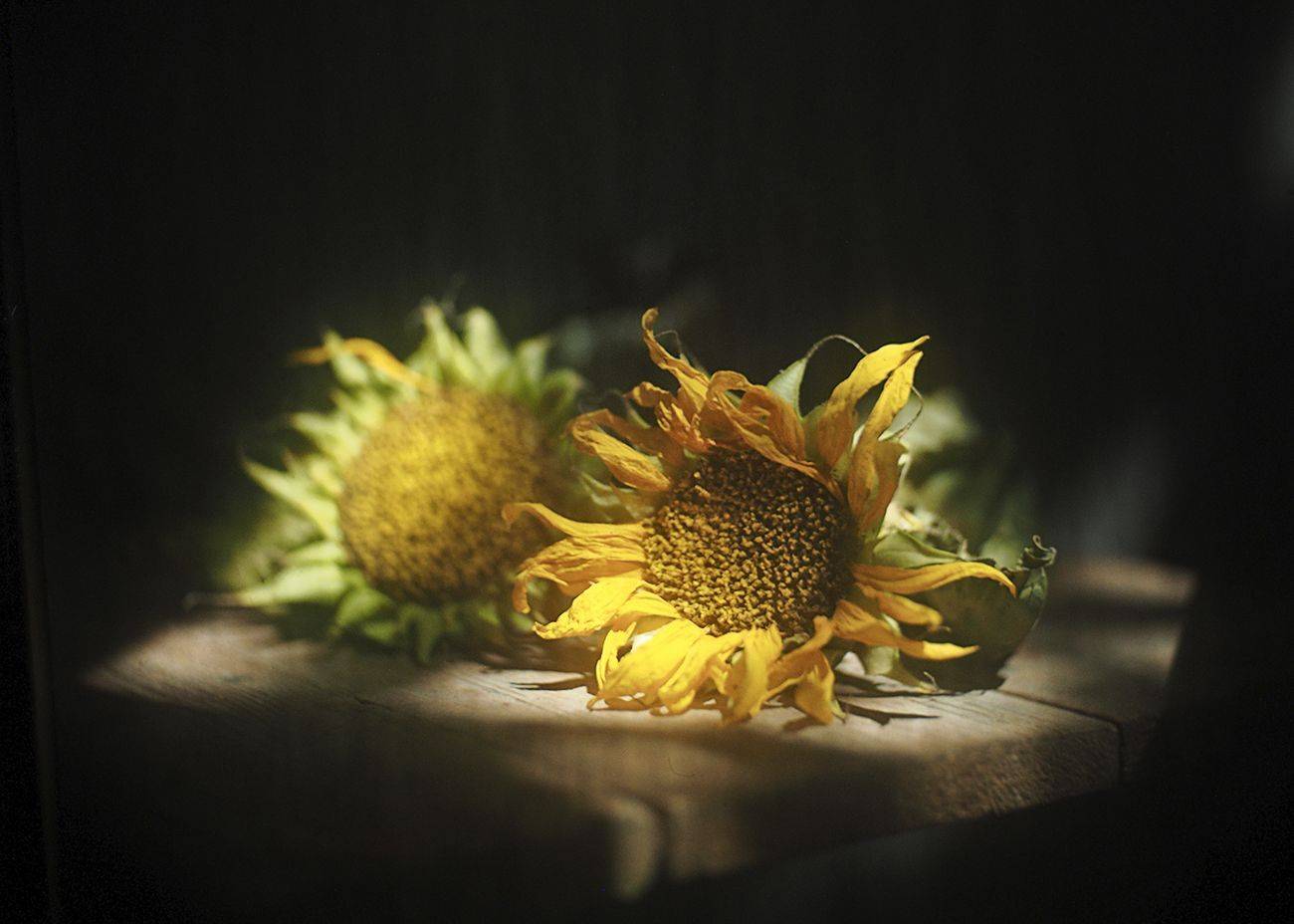 , Татьяна Аверина