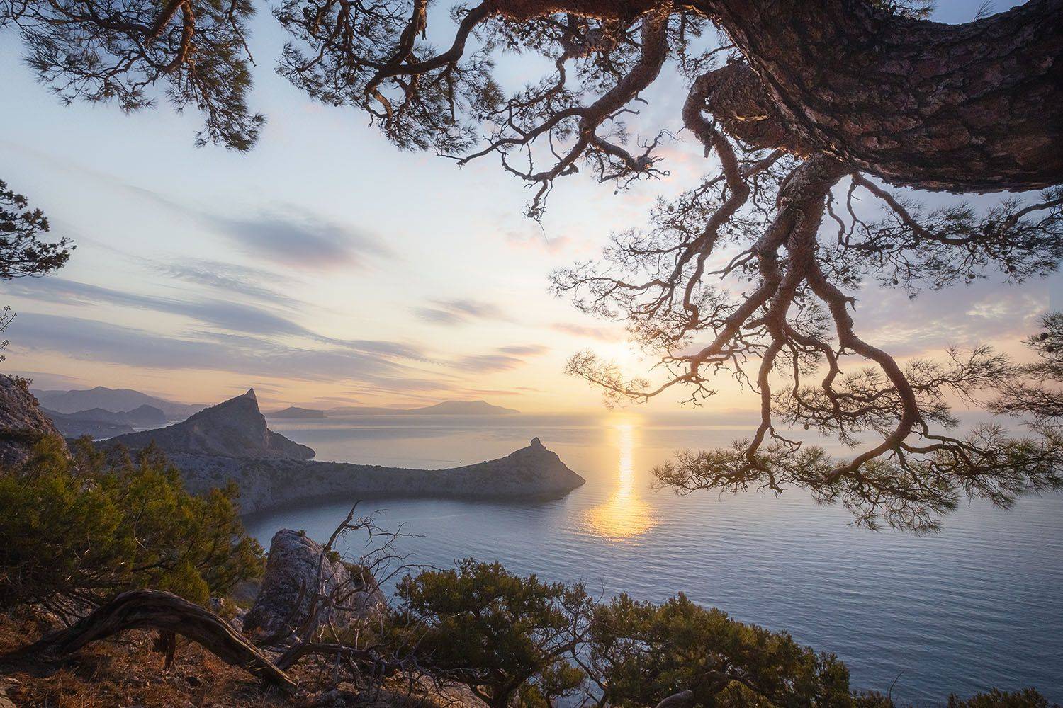 , Александр Костенко