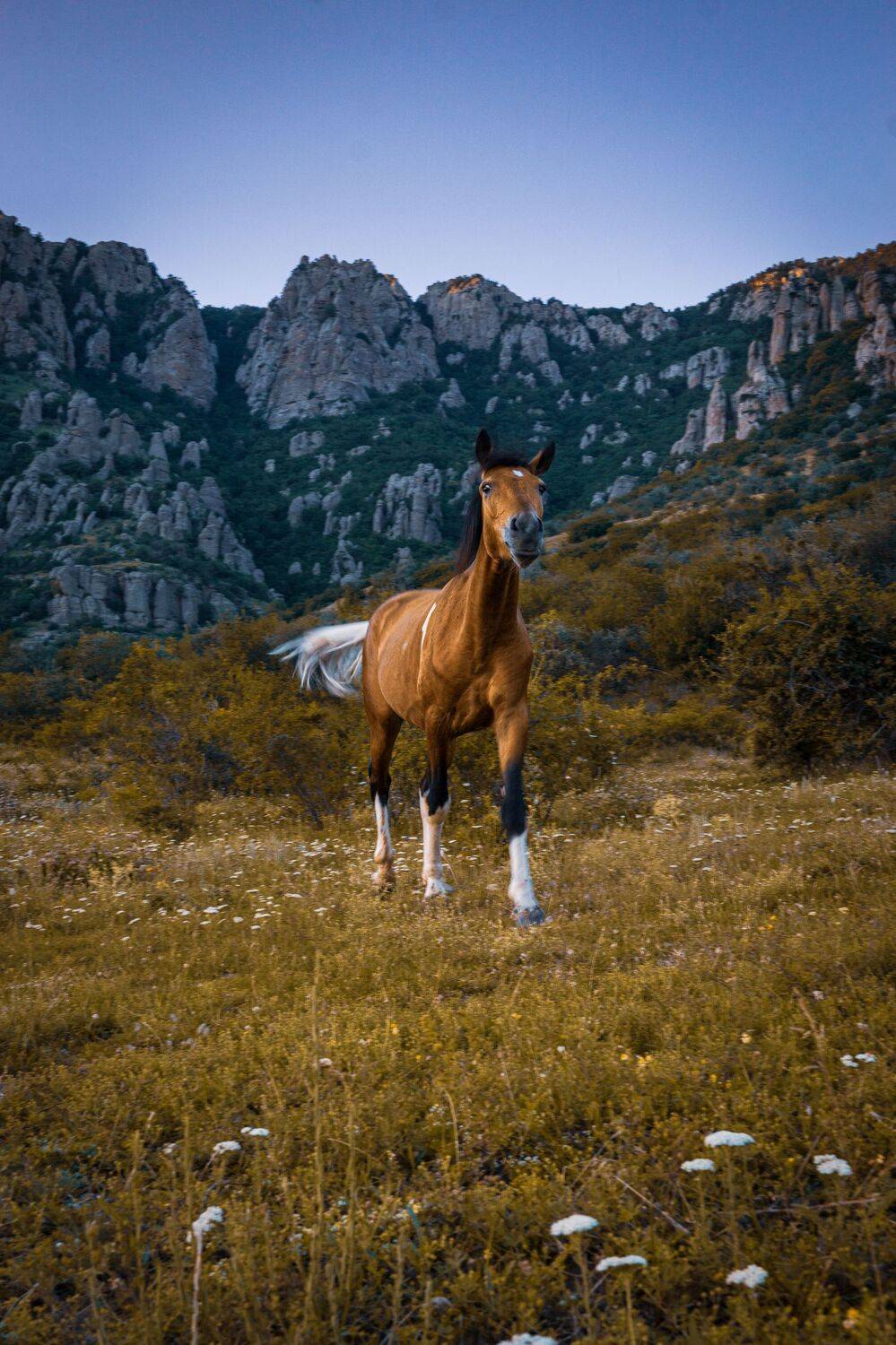 , Андрей Кривцов
