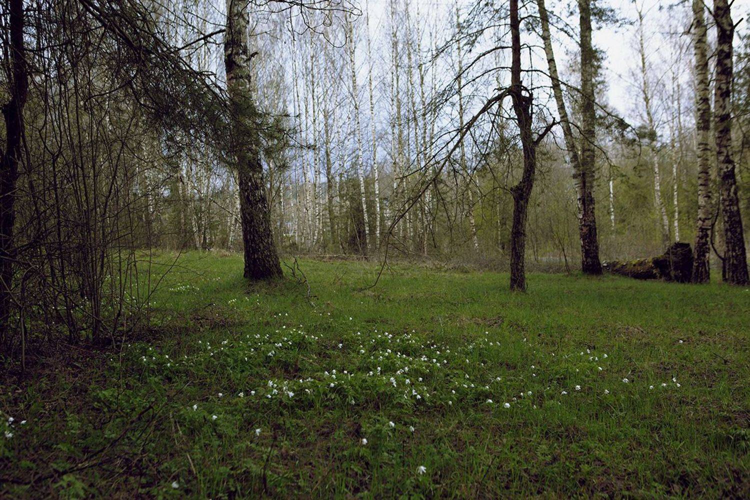 , Ольга Юсупова