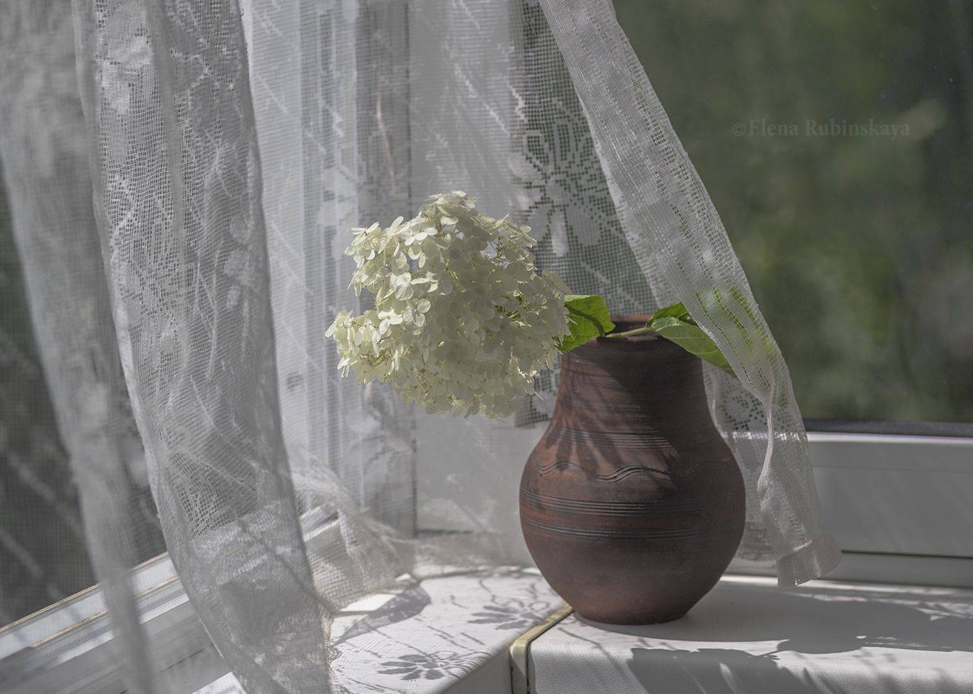 , Елена Рубинская