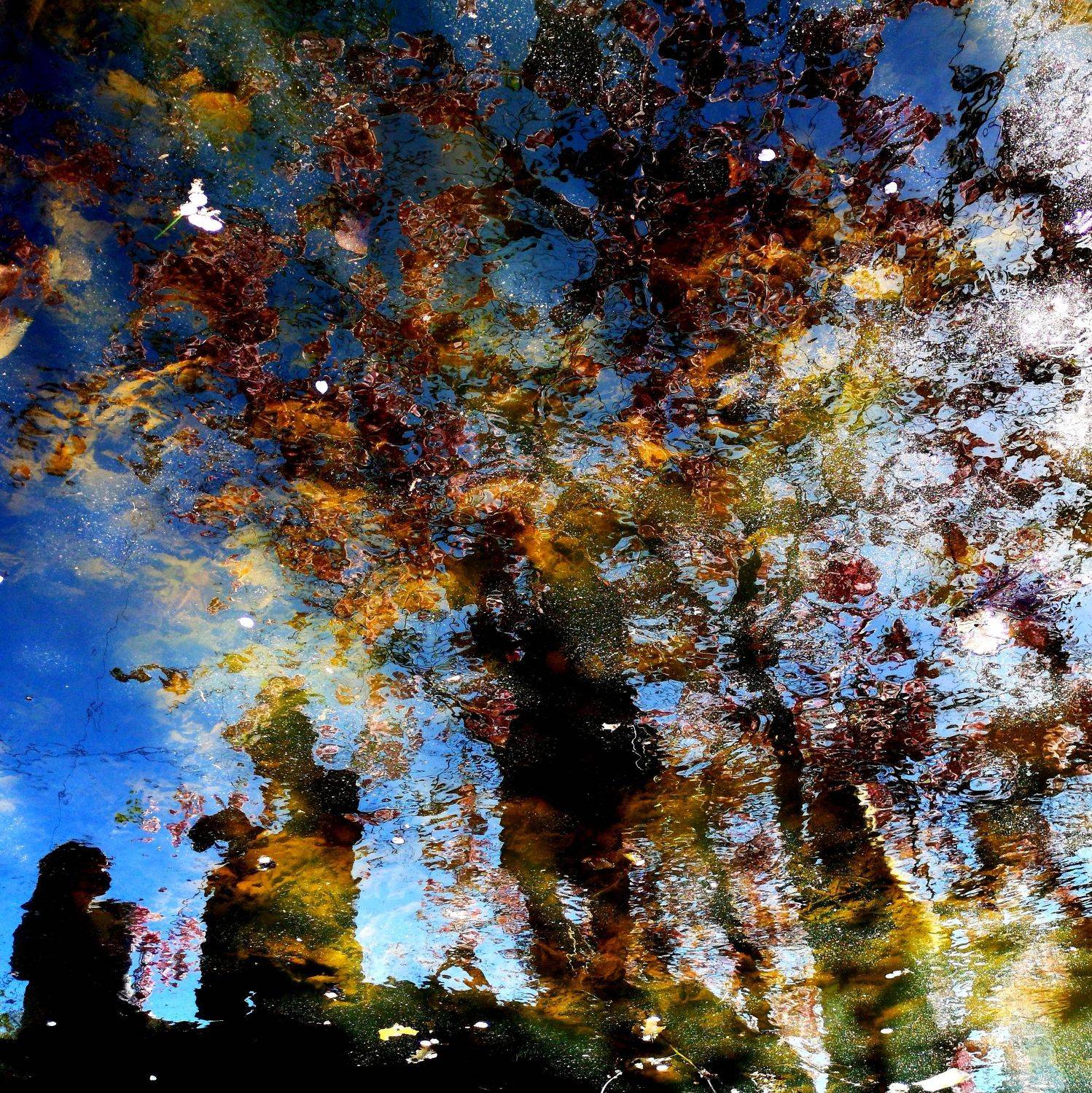 , Антон Лаба