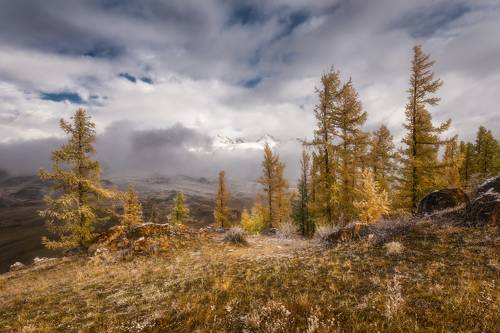 Наедине с осенью