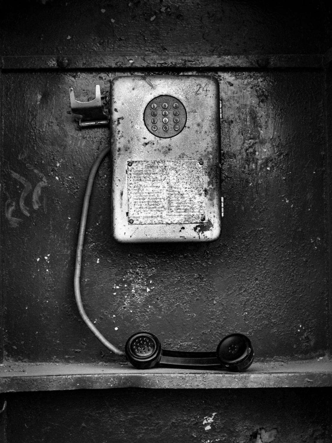 , Лариса Лофицкая