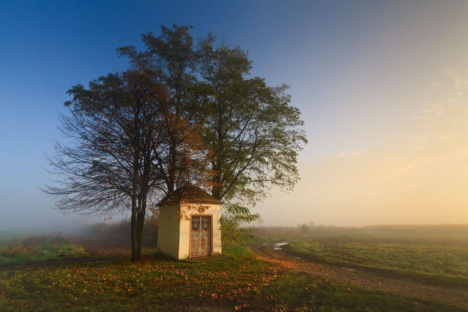 польша, осень, autumn, fall, season, mist, fog, poland, lesser poland, trees, village, golden hour,  tranquility, rural, countryside, chapel, outdoor, sunrise, morning, туман, heritage,, Sebastian Płonka