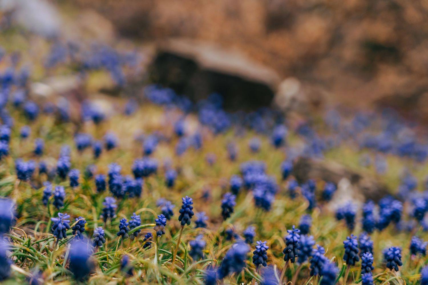 пейзаж, крым, landscape, sony a7 III, Кирилл Соколов