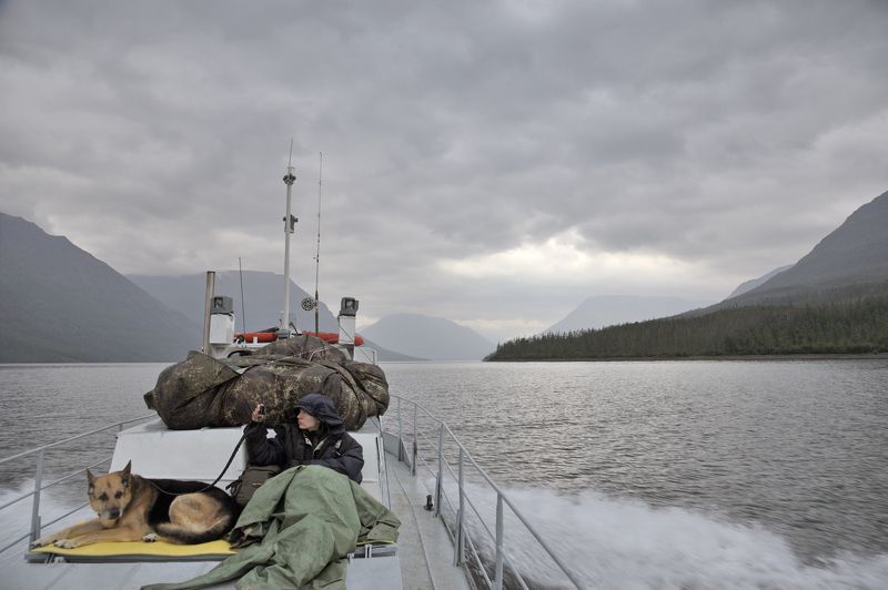 Путораны, Россия, Сибирь, озеро, катер, транспорт, собака, природа, шагнивнеизведанное Заброска по озеру Лама (Путораны, август 2012 г) фото превью