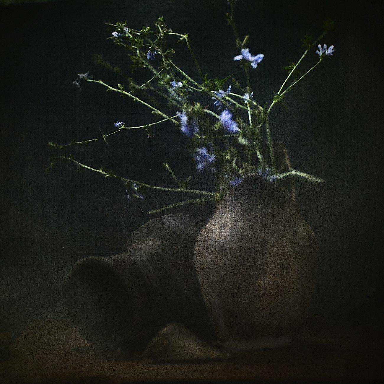 , Татьяна Аверина