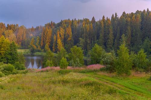 Озеро в Лутках.