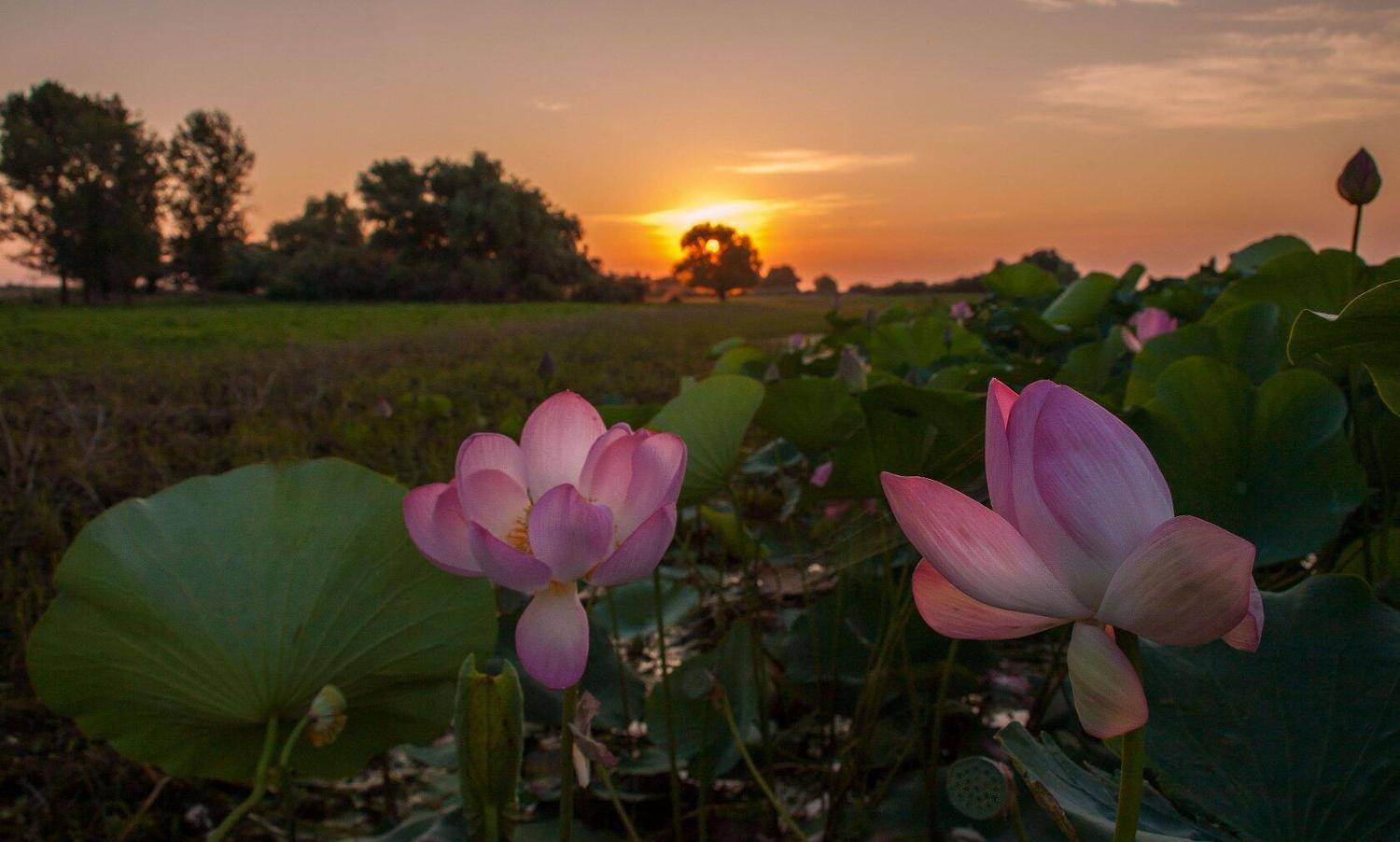 с.КАМЫШОВО , Сергей цыбизов