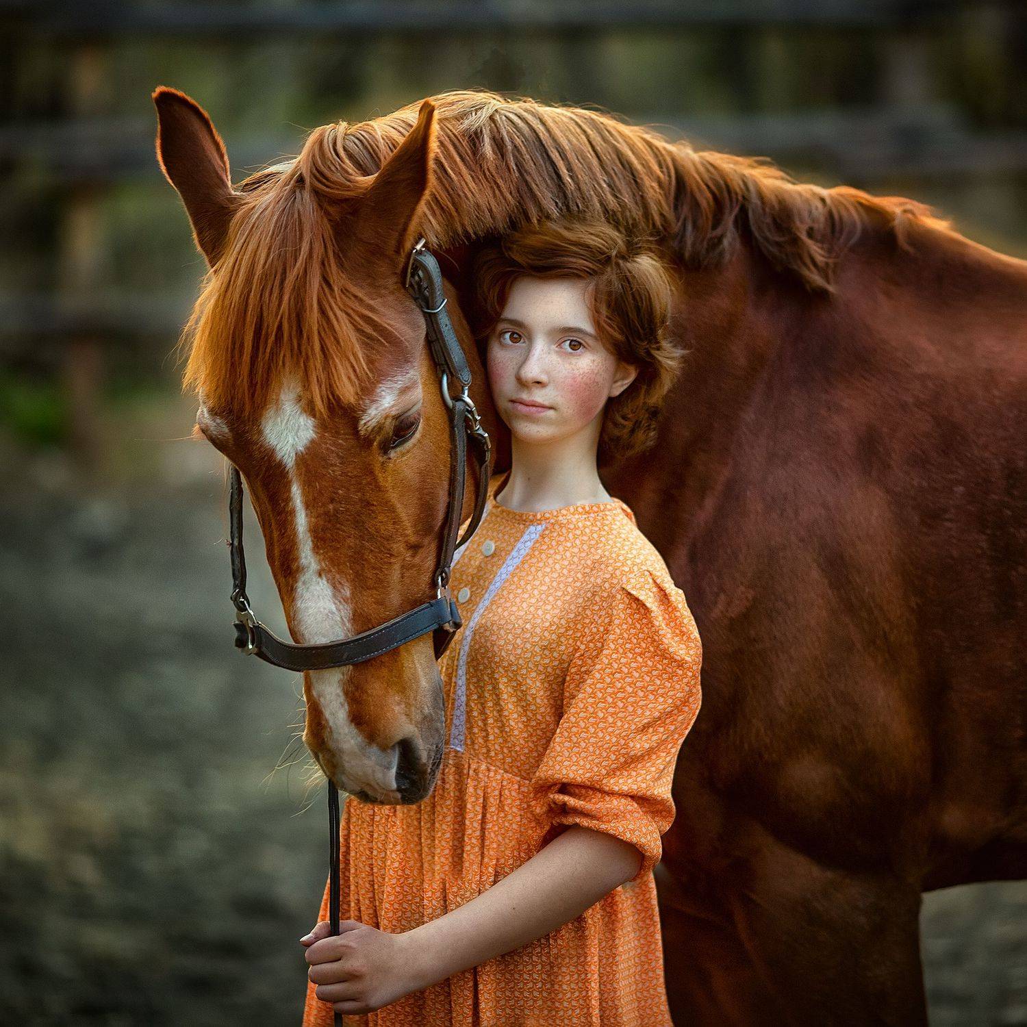 , Бармина Анастасия