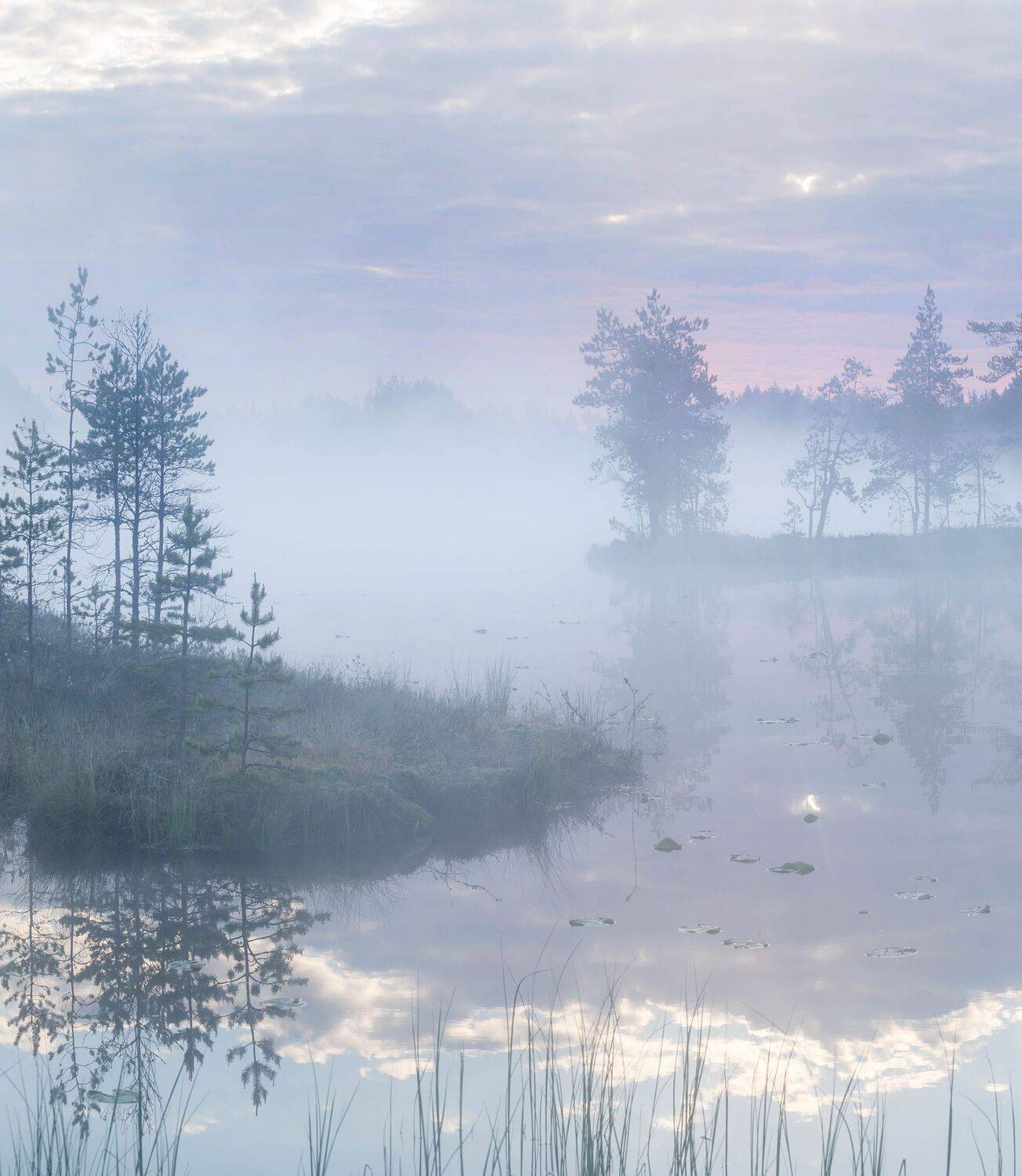 болото, кайф, рассвет ,север ,солнце, свет, закат, облака, отражение, фототур, Павел Ващенков