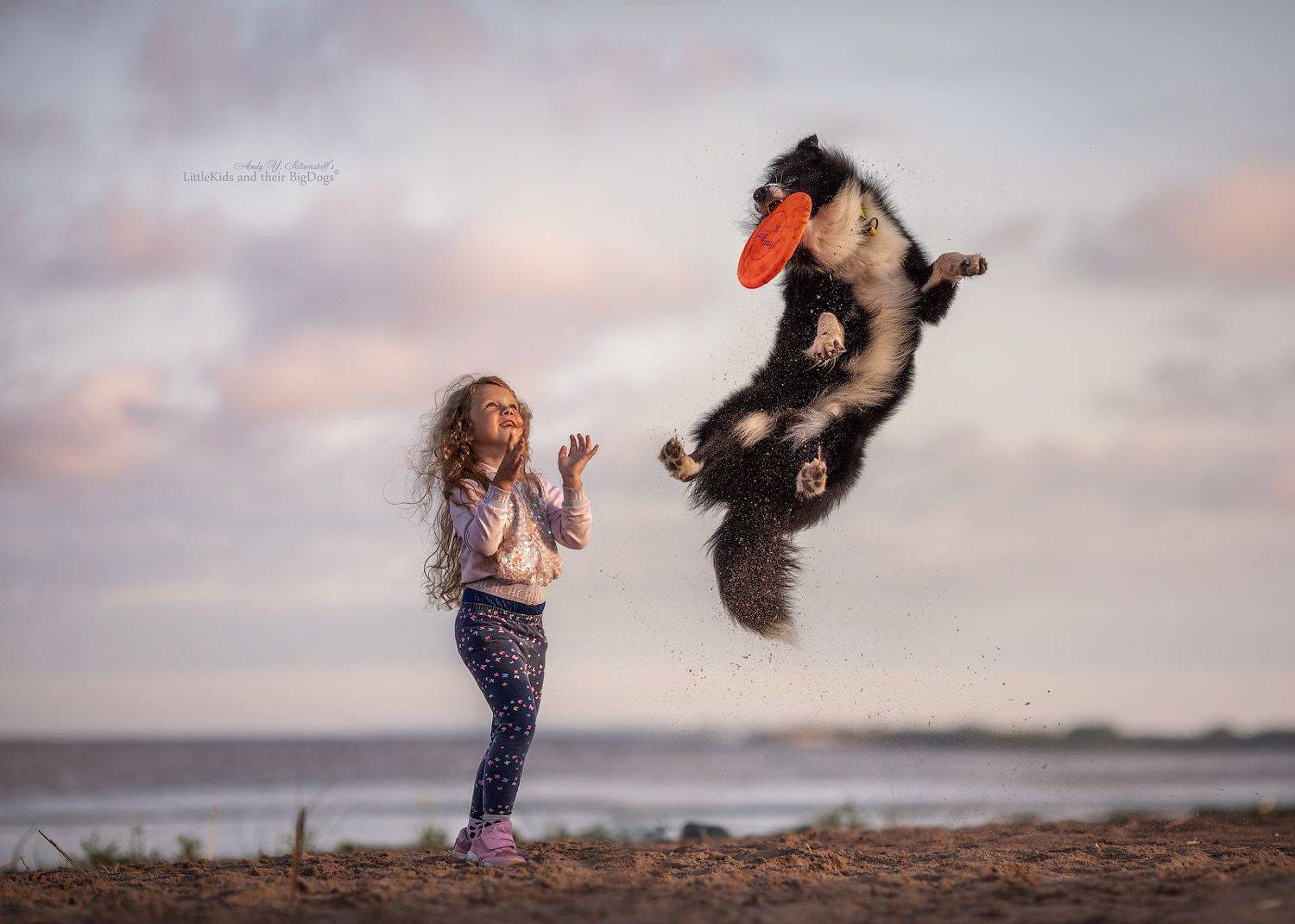 , Андрей Селиверстов