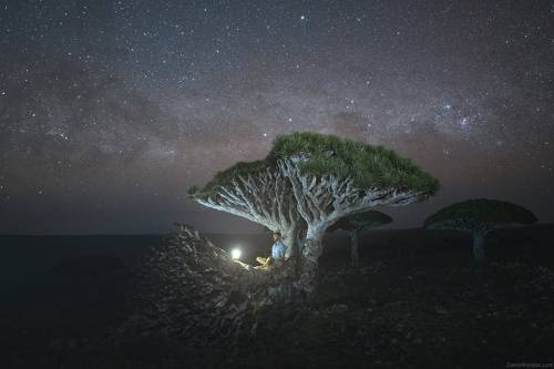 Socotra