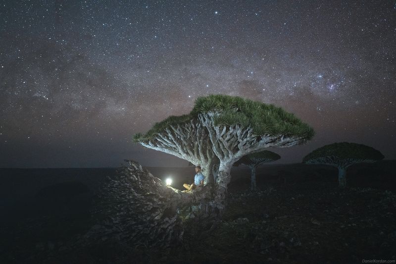 Socotra фото превью