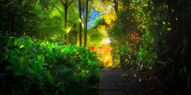 nature, landscape, animals, summer Summer Limited фото превью