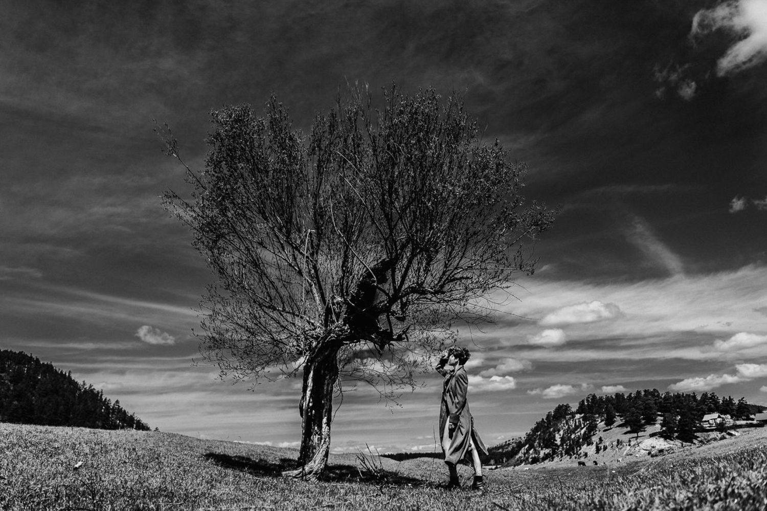 , Алексей Воловиков