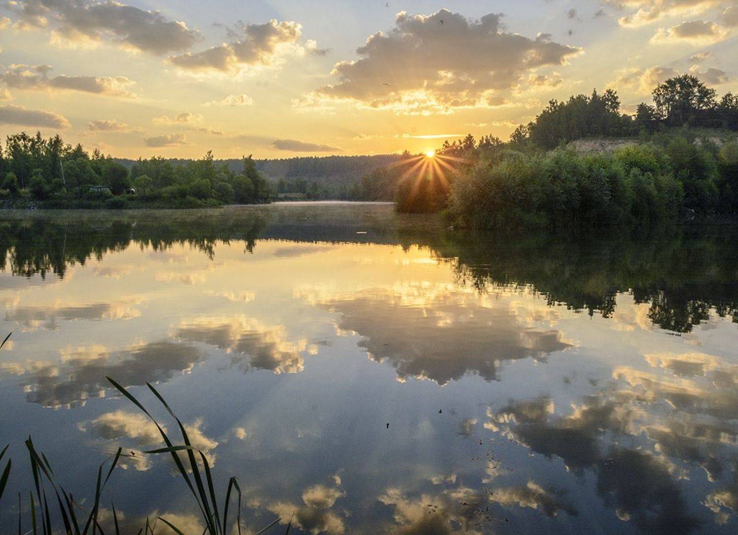 , Анатолий Зверев
