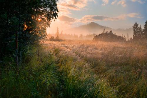 Однажды утром