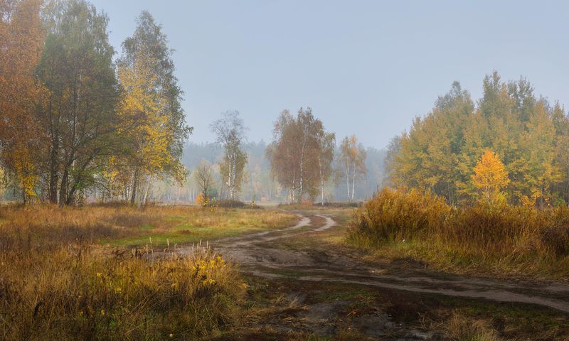 луг, осень, октябрь, утро И осень пьяная бредёт из тёмных чащ в осенние луга фото превью