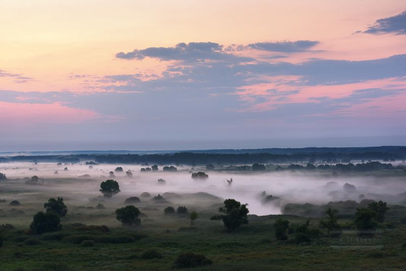 Молочные луга фото превью