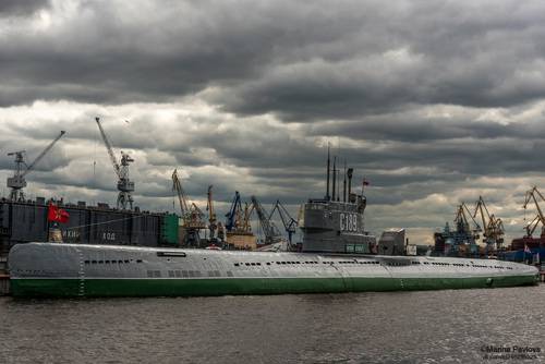На вечном приколе под свинцовым небом Петербурга...