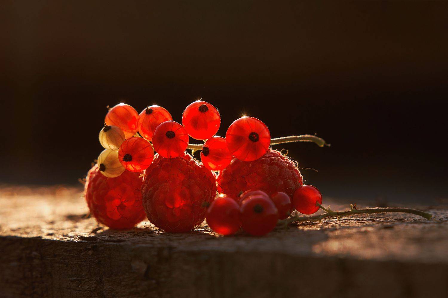 , Оксана Сироштан