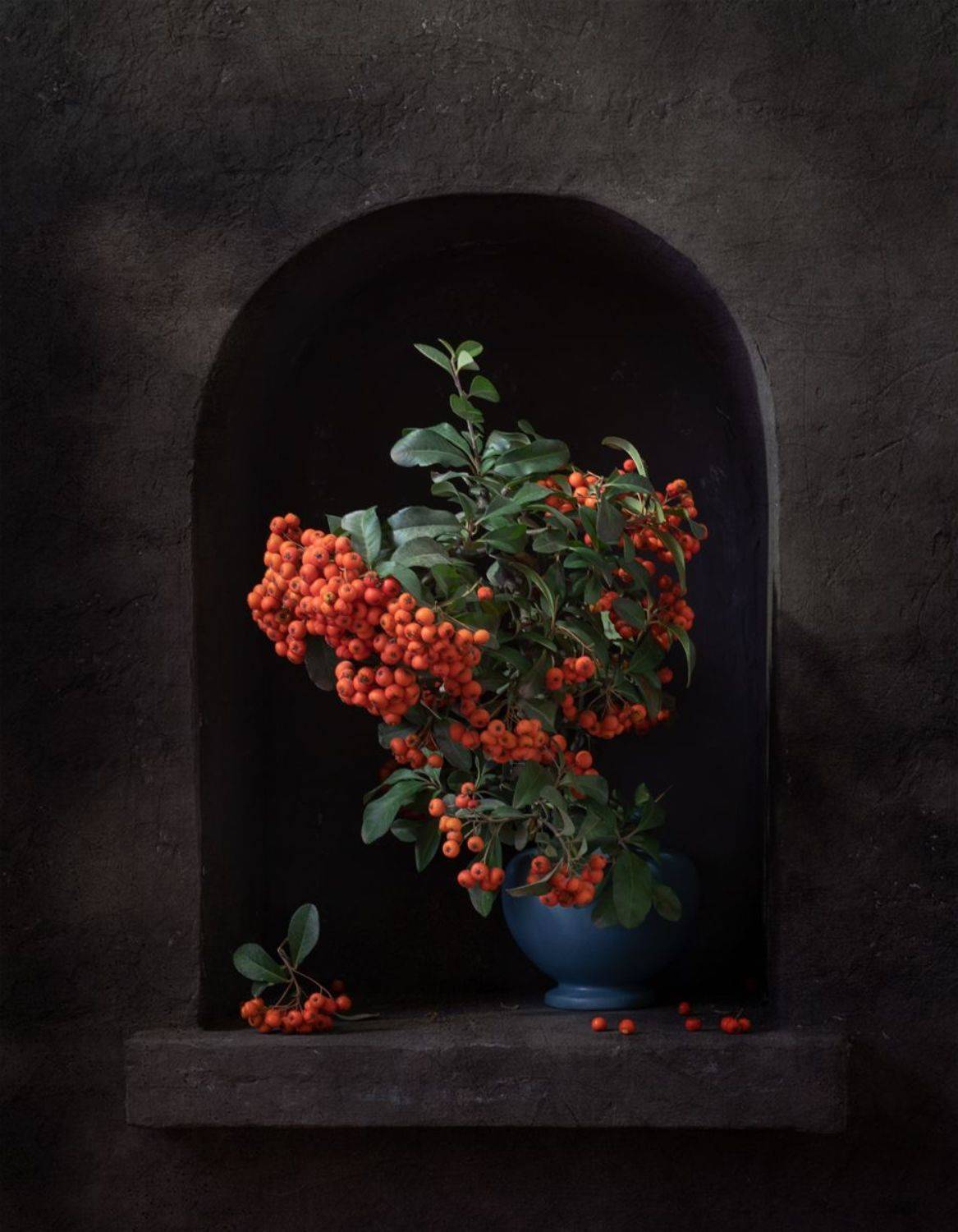 натюрморт, пираканта, ягода, Оля