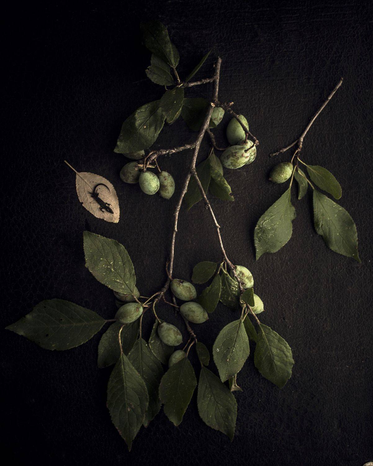 , Йоко Смирнова