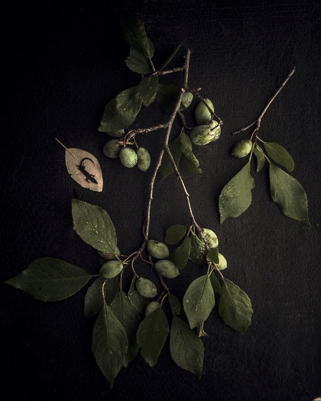 . фото превью